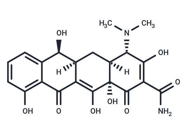 化合物 Demecycline|T27144|TargetMol