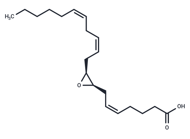 化合物 8(R),9(S)-EET|T88388|TargetMol