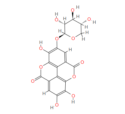鞣花酸-4-O-β-D-木糖苷
