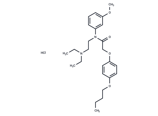 化合物 Acetamide, N-(m-anisyl)-2-(p-butoxyphenoxy)-N-(2-(diethylamino)ethyl)-, hydrochloride|T29571|TargetMol