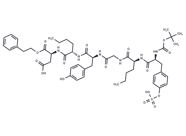 化合物 Cholecystokinin-J|T30904|TargetMol