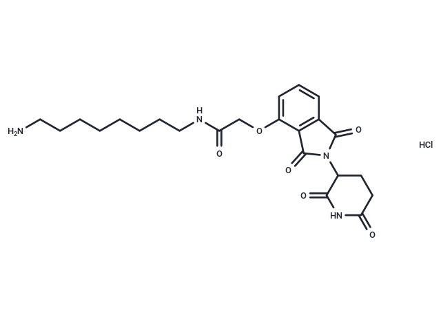 化合物 Thalidomide-O-amido-C8-NH2 hydrochloride|T18817|TargetMol