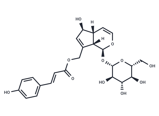 化合物 Eurostoside|T124081|TargetMol