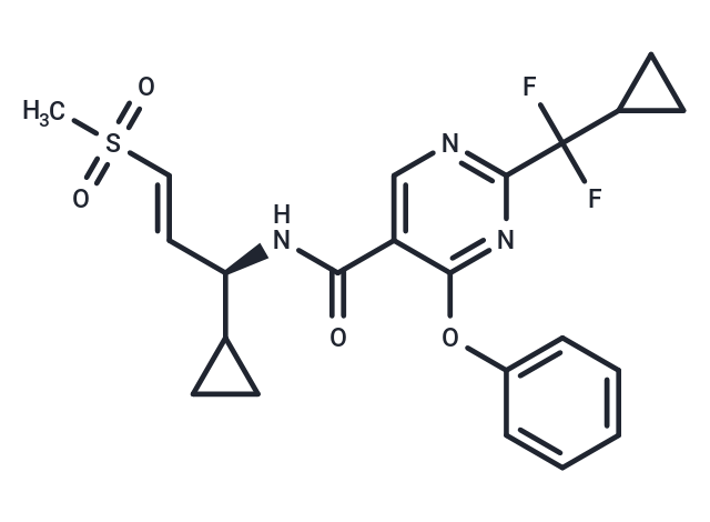 化合物 WRN inhibitor 8|T88207|TargetMol