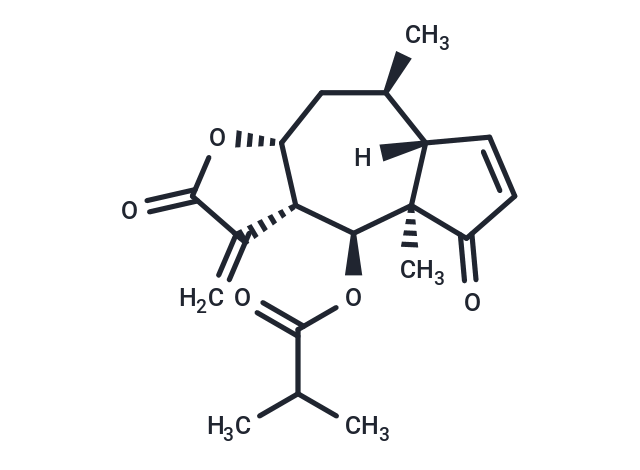 化合物 6-O-Isobutyrylhelenalin,Helenalin isobutyrate|T124696|TargetMol