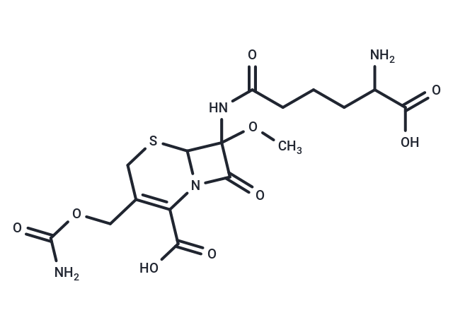 化合物 Cephamycin C|T26980|TargetMol