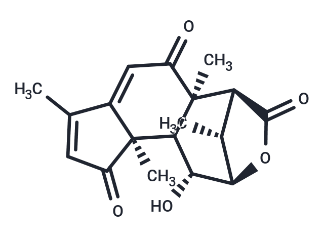 化合物 Laurycolactone B|T124085|TargetMol