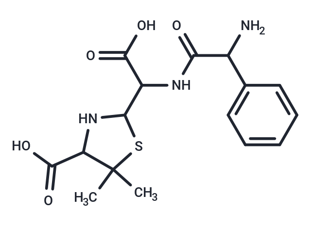 化合物 Ampicillinoic acid|T30042|TargetMol