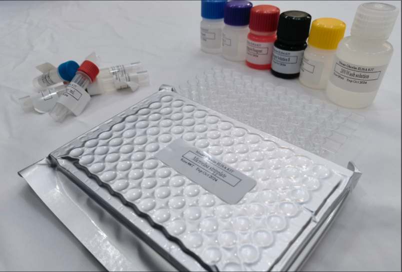 鸡胰淀粉酶（PAMY）ELISA试剂盒