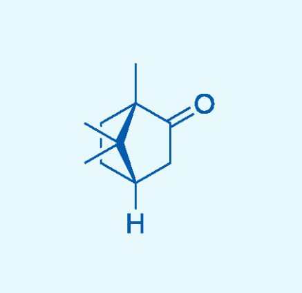 L(-)-樟脑  464-48-2