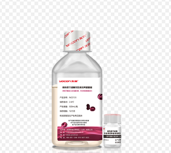 yocon 友康 NC0103+NC0105.S 间充质干细胞无血清培养基添加剂2（脐带-冻存细胞及高代数细胞传代）