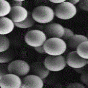巯基化单分散ps磁性微球
