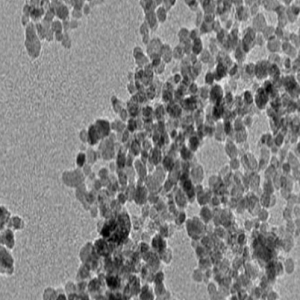 链霉亲和素修饰聚苯乙烯微球
