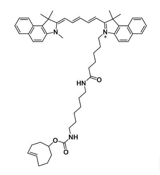 Cyanine5.5-辣根过氧化物酶，Cy5.5-HRP，Cyanine 5.5 荧光染料偶联辣根过氧化物酶