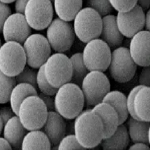 链霉亲和素修饰荧光微球50nm