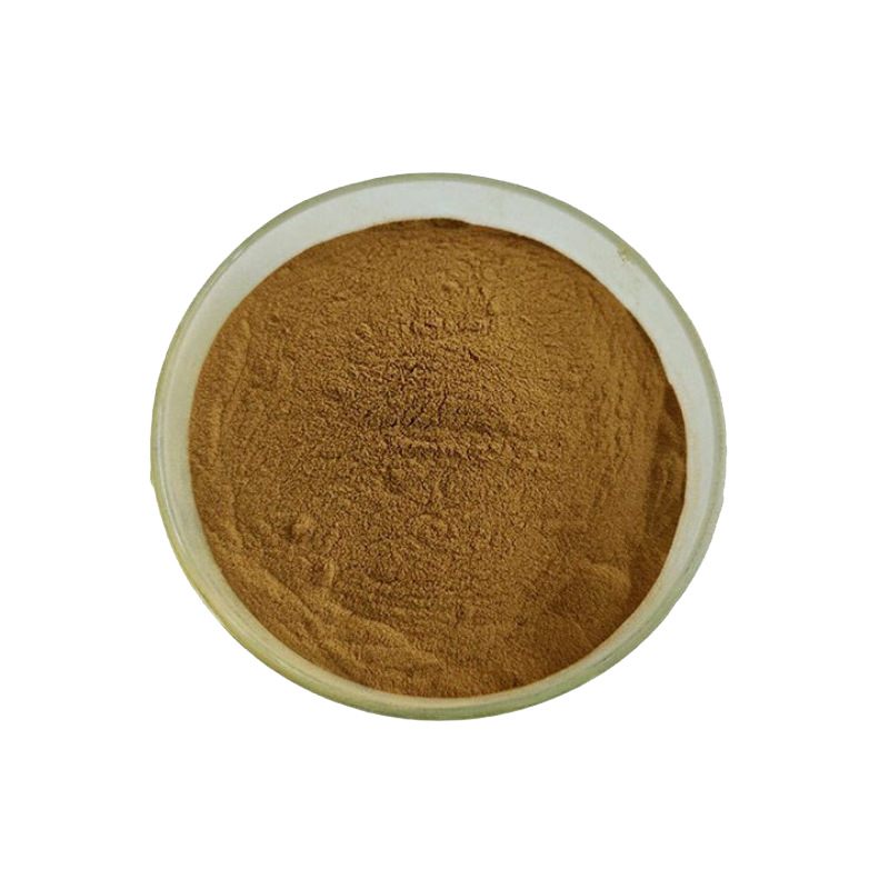 细辛提取物 水溶细辛粉