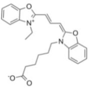 Cy2-蔗糖，CY2-Sucrose，Cy2 荧光染料标记蔗糖，Cy2 - labeled Sucrose