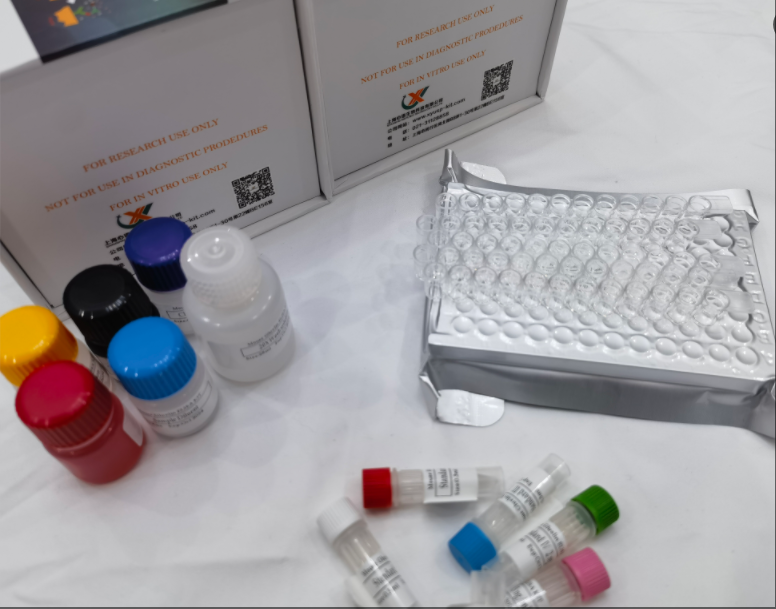 鸡CD3分子（CD3）ELISA试剂盒