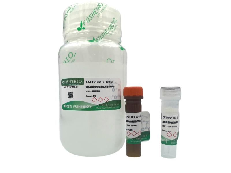 线粒体膜电位检测试剂盒(TMRE红色荧光)