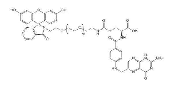荧光素修饰叶酸，FITC-FA，荧光素异硫氰酸酯修饰叶酸