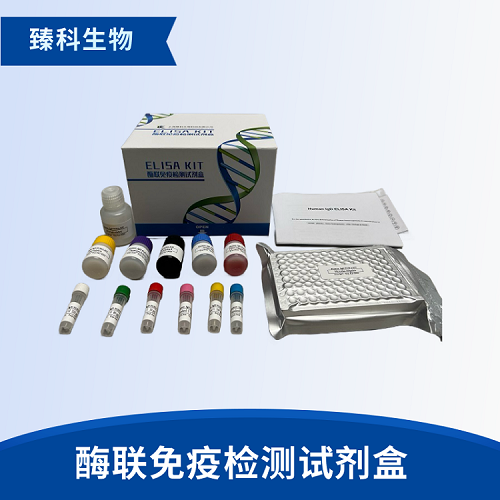 人复制蛋白A(RPA-70）elisa测定试剂盒