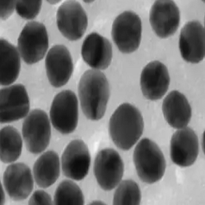 peg修饰Fe3O4，peg修饰四氧化三铁10nm-60nm