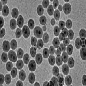 磺化四氧化三铁纳米颗粒，磺化Fe3O4纳米颗粒