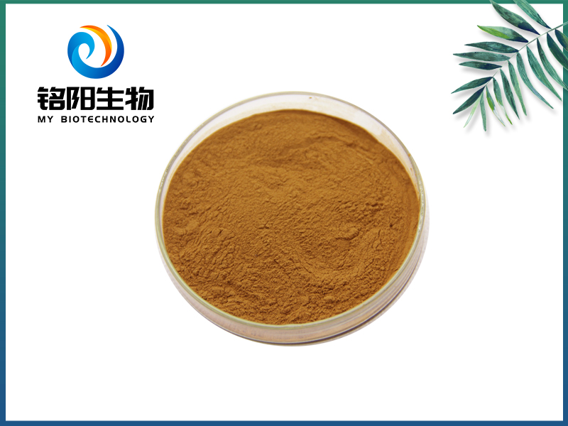 丹酚酸B 厂家直销 丹参提取物