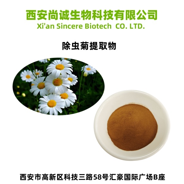 除虫菊提取物 除虫菊粉除虫菊素 尚诚生物