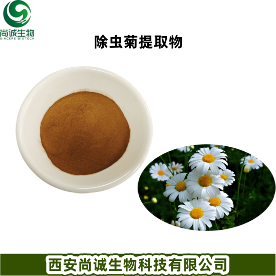 除虫菊提取物 除虫菊粉除虫菊素 尚诚生物