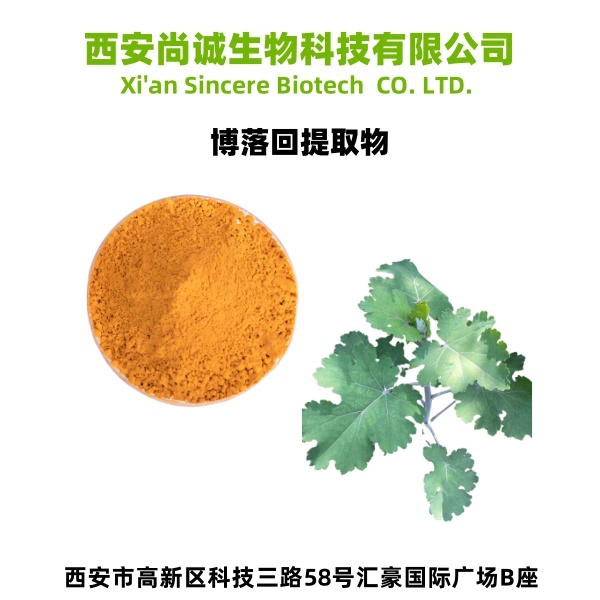 博落回提取物 血根碱 白屈菜红碱 尚诚生物