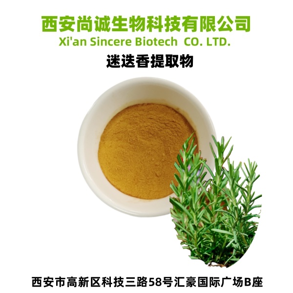 迷迭香提取物 鼠尾草酸 尚诚生物