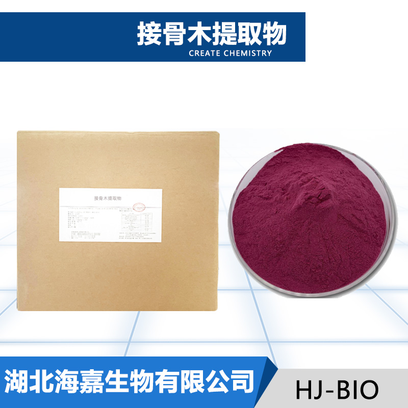接骨木提取物