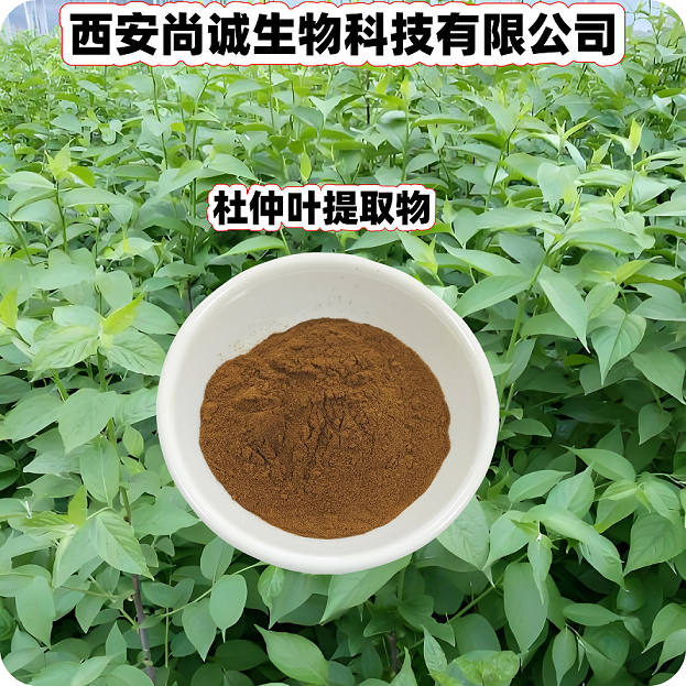 杜仲叶提取物 绿原酸 尚诚生物