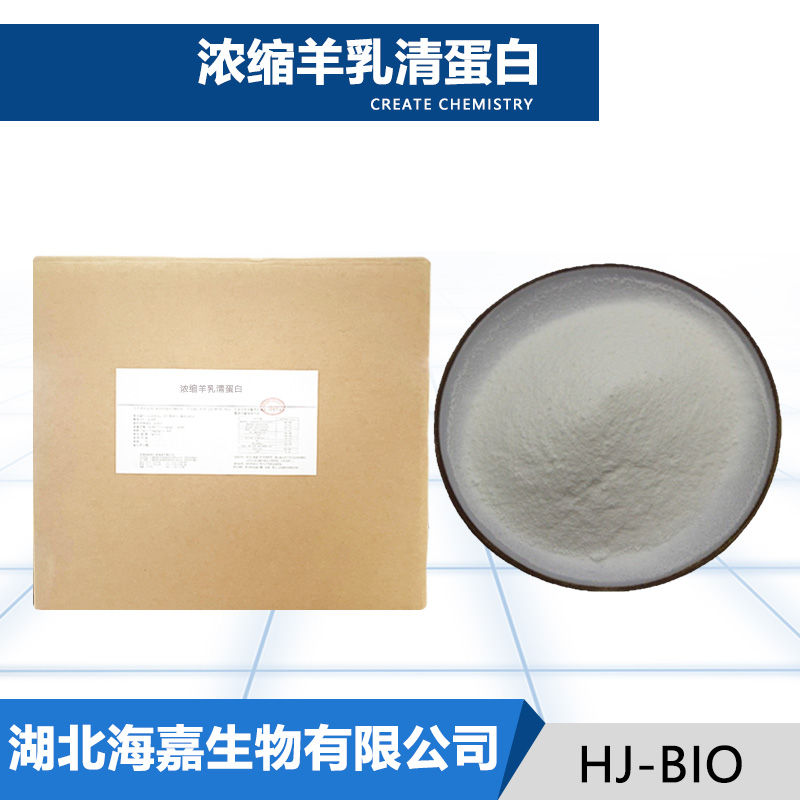 羊浓缩乳清蛋白厂家