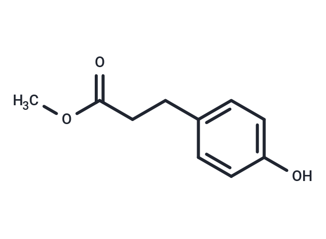 化合物 Methyl 3-(4-hydroxyphenyl)propionate|T65069|TargetMol