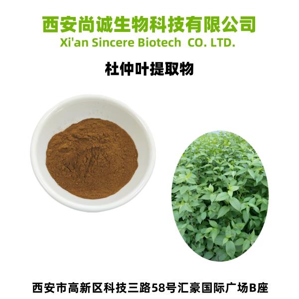 杜仲叶提取物1.png 杜仲叶提取物1.png