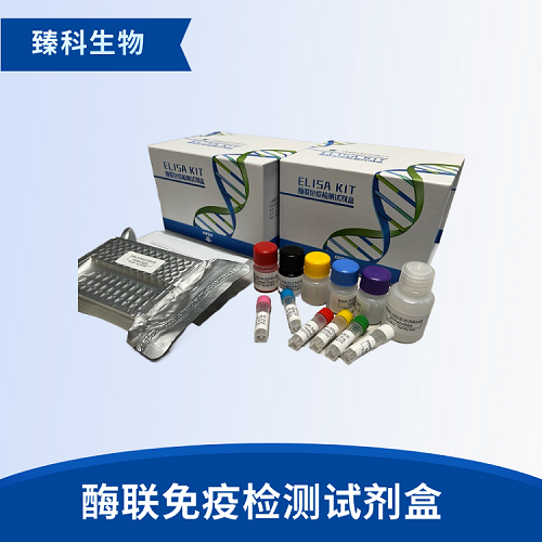 大鼠8羟基脱氧鸟苷(8-OHdG）elisa试剂盒