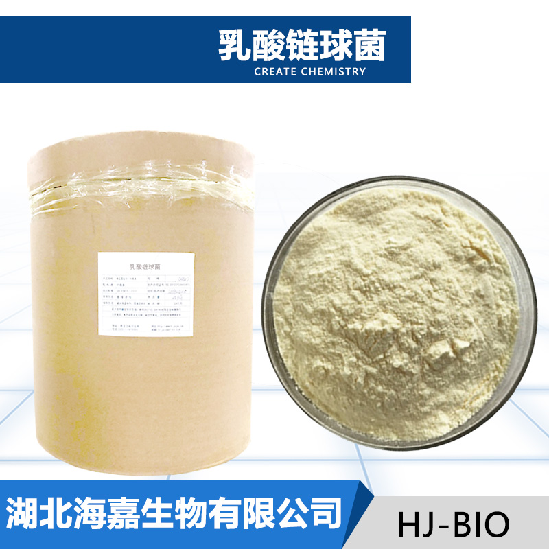 乳酸链球菌厂家
