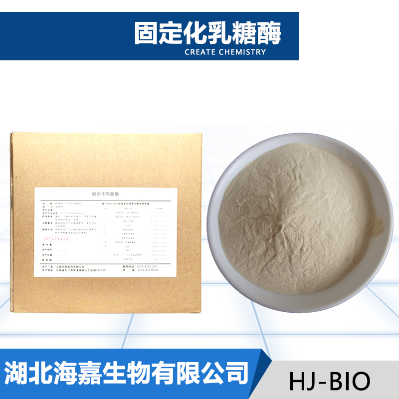 固定化乳糖酶厂家