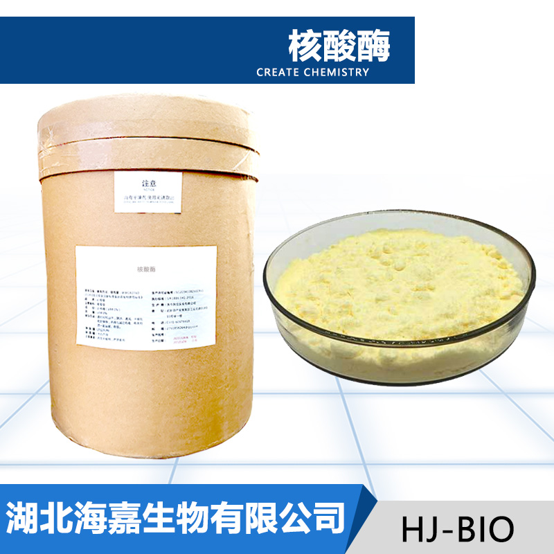 核酸酶厂家