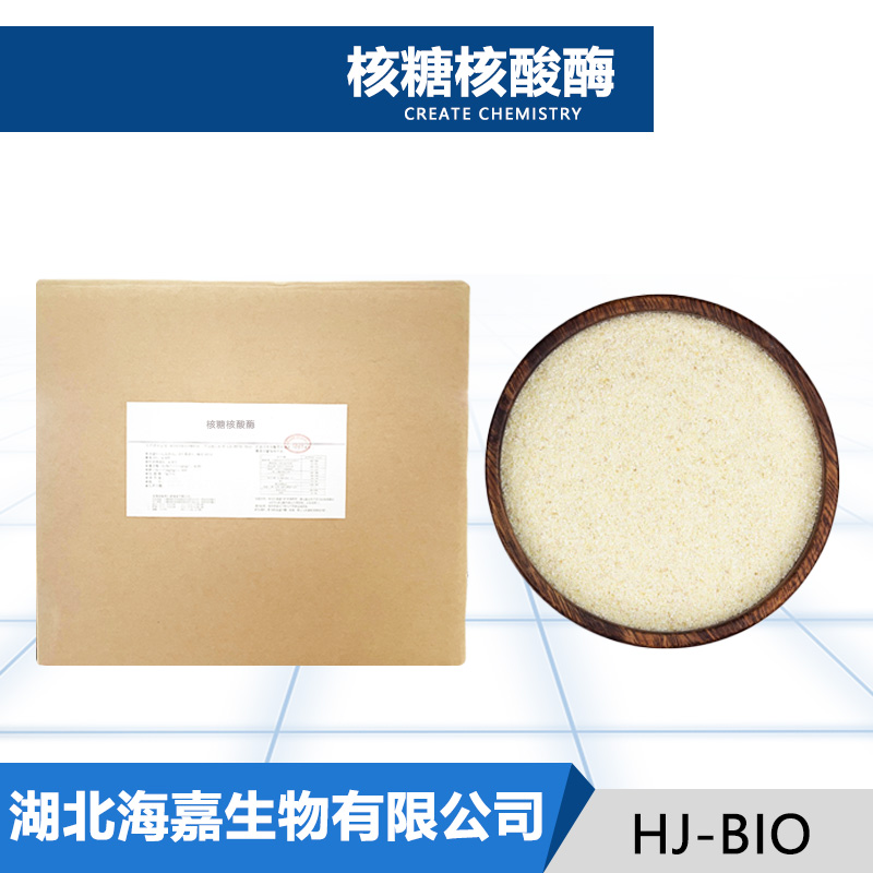 核糖核酸酶厂家