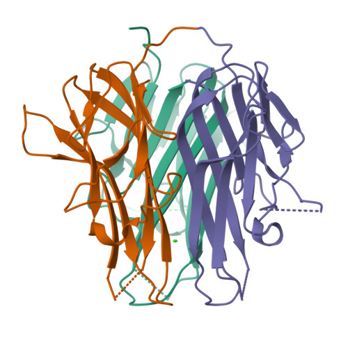 人TL1A / TNFSF15蛋白, His, Avitag