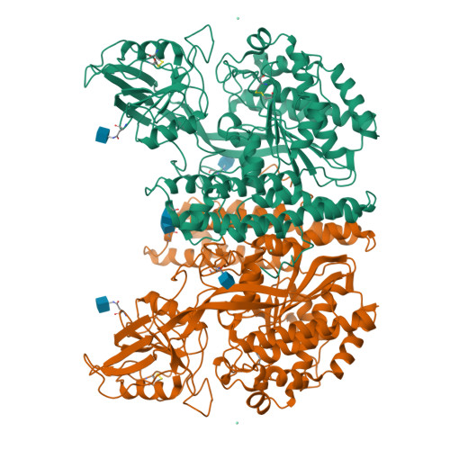 小鼠转铁蛋白受体Transferrin R-ACROBiosystems百普赛斯