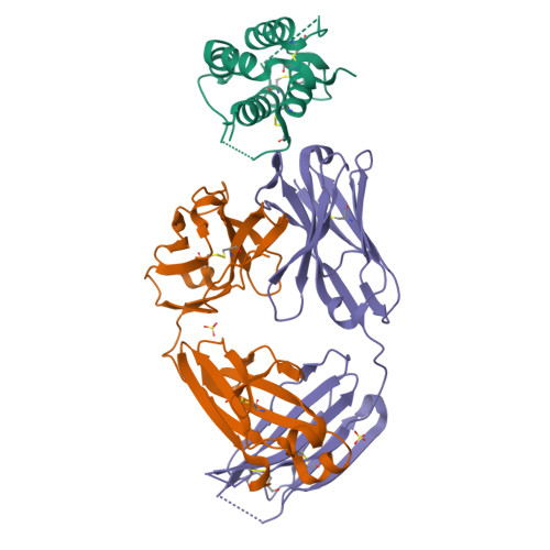 小鼠TSLP蛋白-ACROBiosystems百普赛斯