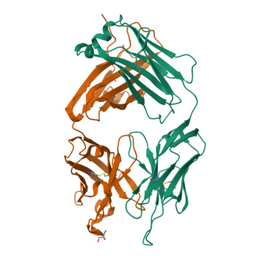 小鼠IL23A & IL12B蛋白-ACROBiosystems百普赛斯
