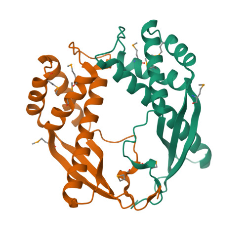 小鼠TNF-alpha / TNFα蛋白, Fc Tag