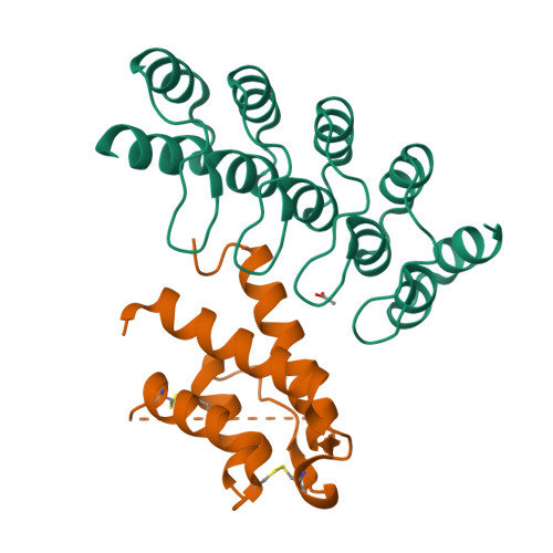 重组人IL-13蛋白-ACROBiosystems百普赛斯