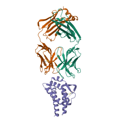 重组人IL-2蛋白-ACROBiosystems百普赛斯