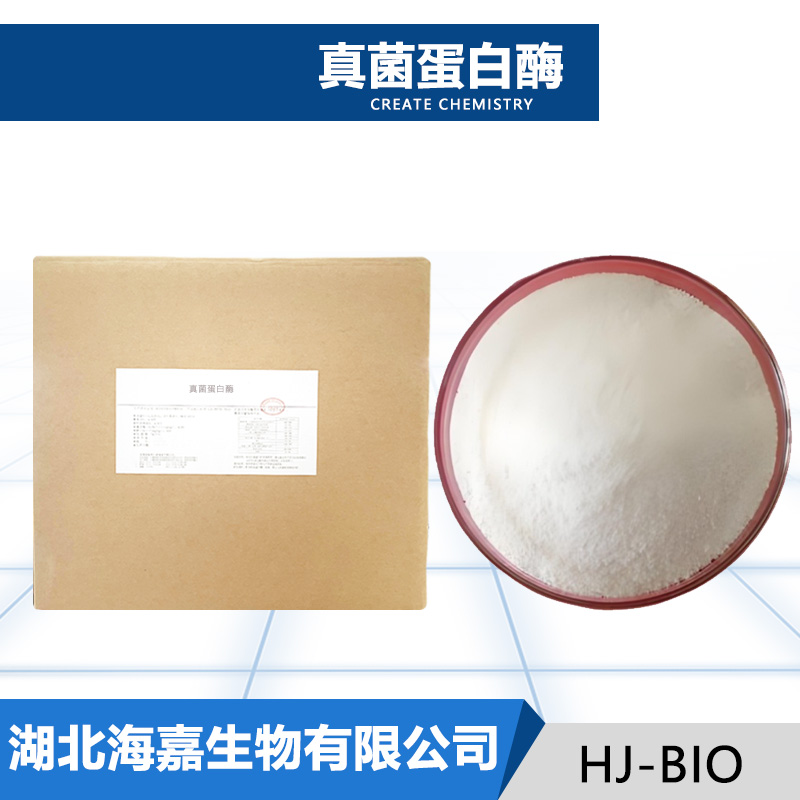真菌蛋白酶厂家